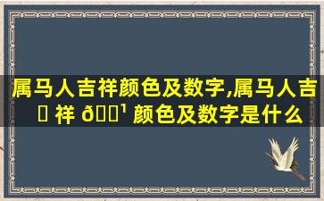 属马人吉祥颜色及数字,属马人吉 ☘ 祥 🌹 颜色及数字是什么